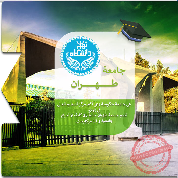 الدراسة في جامعة طهران