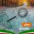 Studying in Semnan